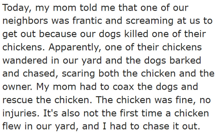 The OP's dogs chased a neighbor's chicken.