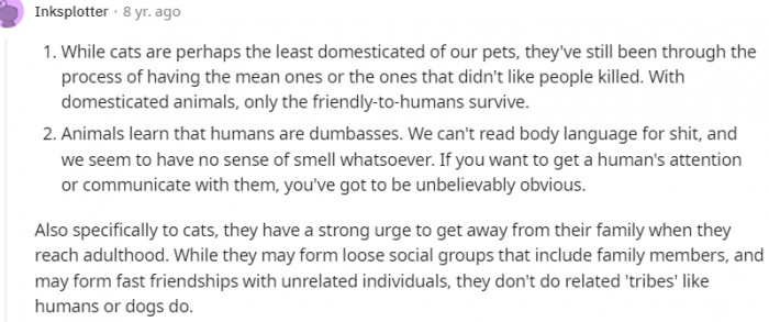 7. They have a strong urge to get away from the family