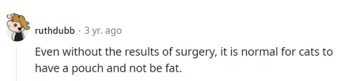 Cats flaunt their pouch with pride, proving that fierce and fabulous can coexist without counting calories. The secret's in the pouch!