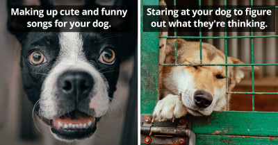 If You're A Dog Owner You've Probably Done One Of These 35 Weird Things To Your Dog Without Even Realizing It