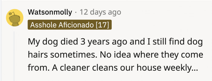 Dog owners can confirm that even with the actual dog gone, the hair still lingers