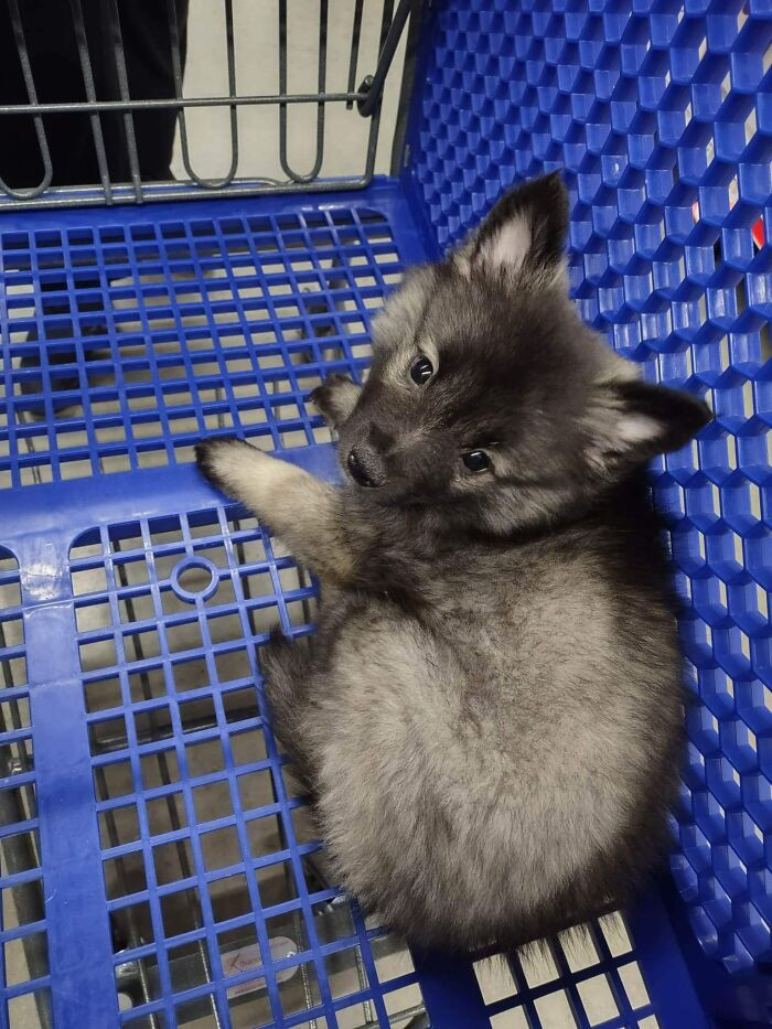 21. Last Minute Xmas Shopping Spotted!