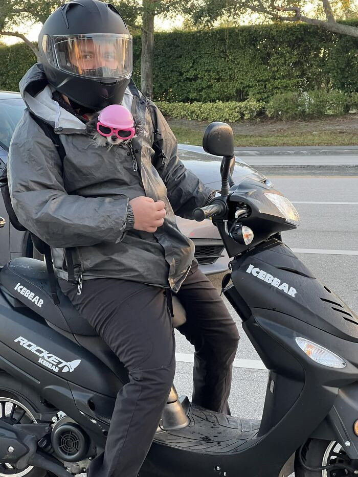 22. I Was At A Red Light, Boynton Beach, Florida At 730am