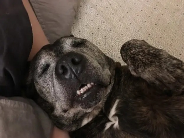 8. World's Best Snoozer