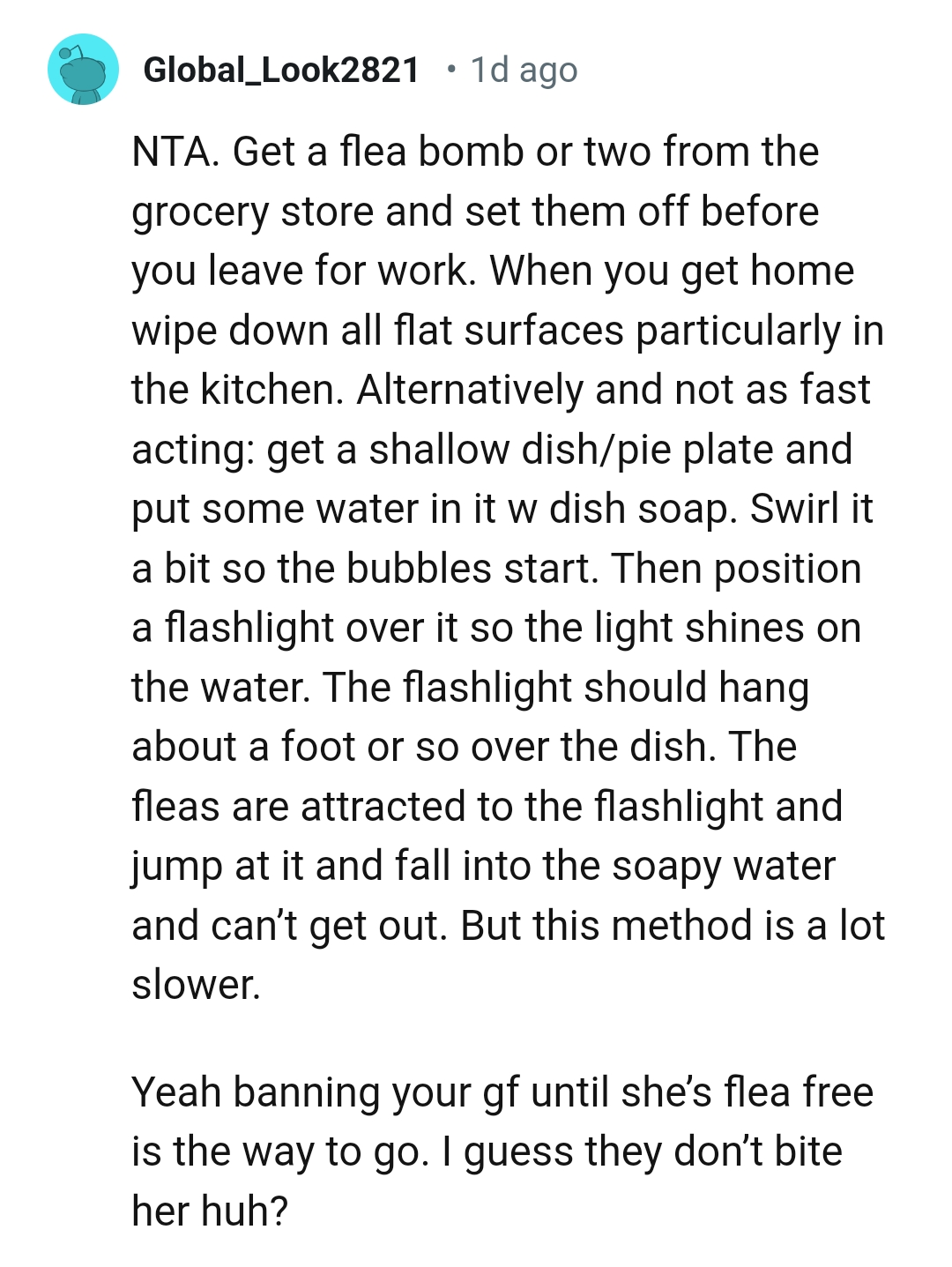 Banning her until she is flea-free is certainly the way to go