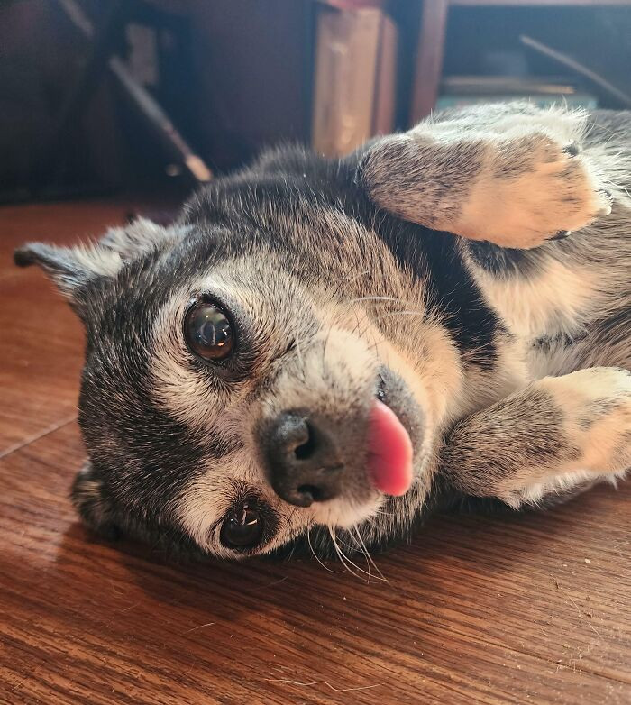 "Rinoa Had A Tooth Extraction Today, And She's Being Very Much A Drama Queen About The Ordeal"