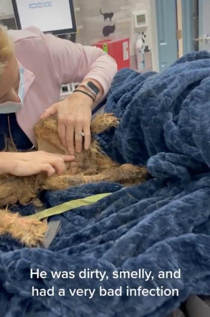 It was immediately obvious how bad his condition was