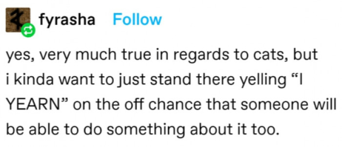 10. We want to yell "I Yearn!" too