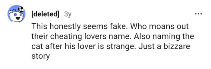 Naming the cat after his lover is strange