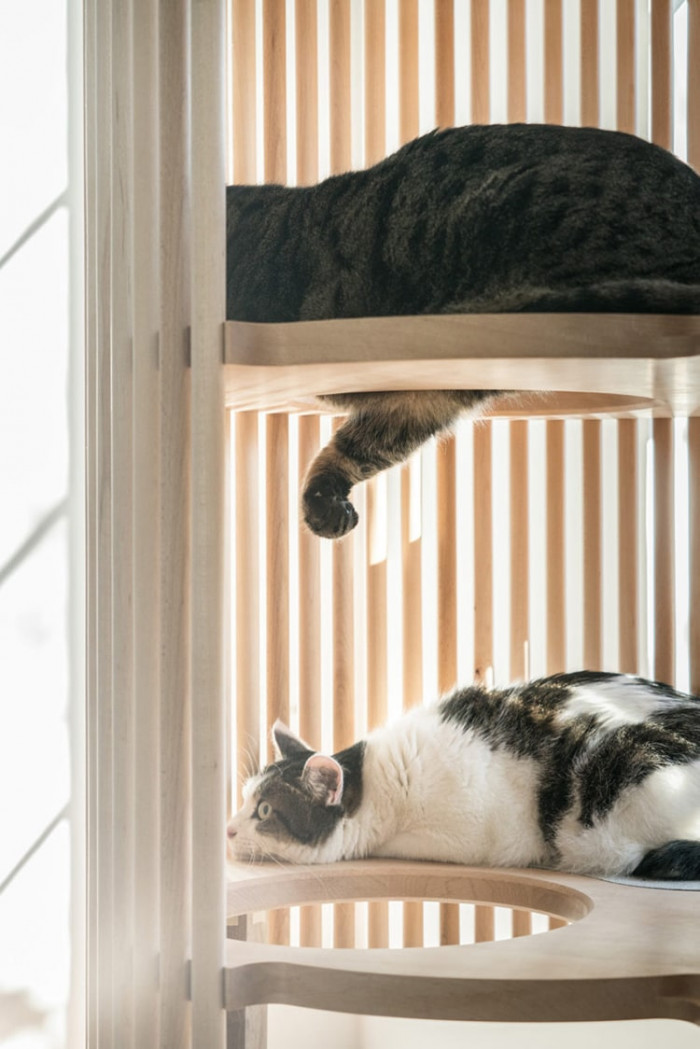 The furniture gives playful kitties room to climb and explore while providing older cats a place to snooze