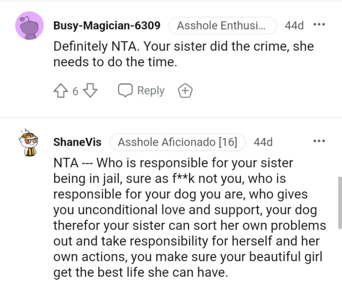 OP's sister did the crime and has to do the time