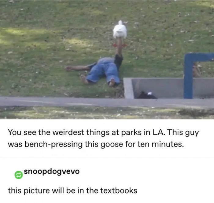 18. Want to know how strange America can be?