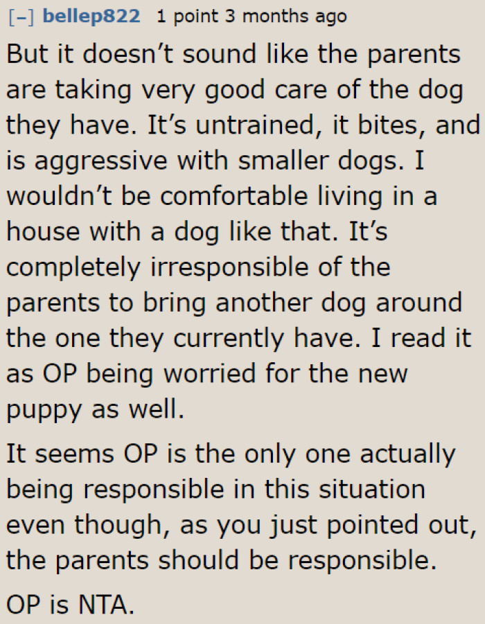 A user thinks the OP is the most responsible one in this situation because she's considering other factors in their home aside from her condition.