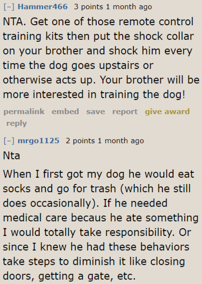 This is a nice suggestion: Buy a shock collar, put it on the brother, and use it when the dog goes upstairs.