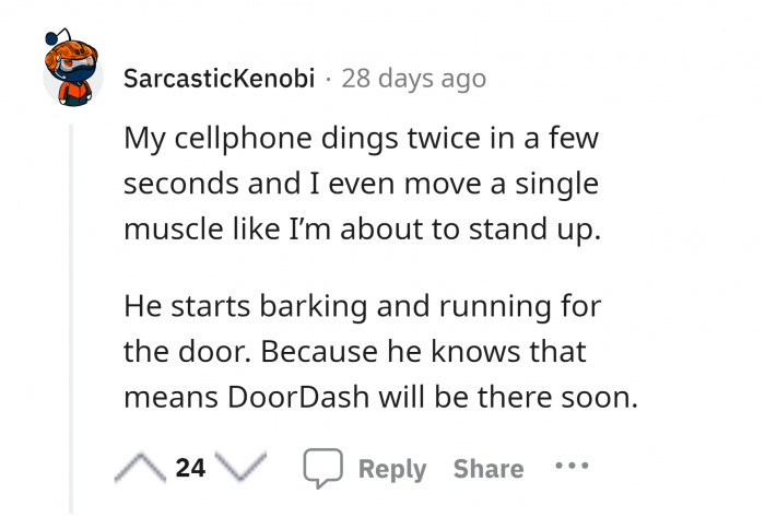 16. Door dash when a cellphone dings twice.