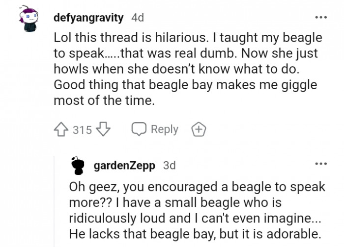 4. I taught my beagle to speak