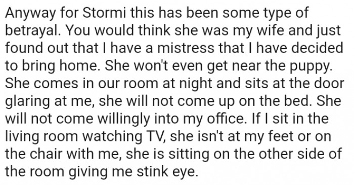 Stormi is giving me the stink eye