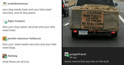 13 Folks Over At Tumblr Share Posts About Funny Animals And Insane Animal Accidents