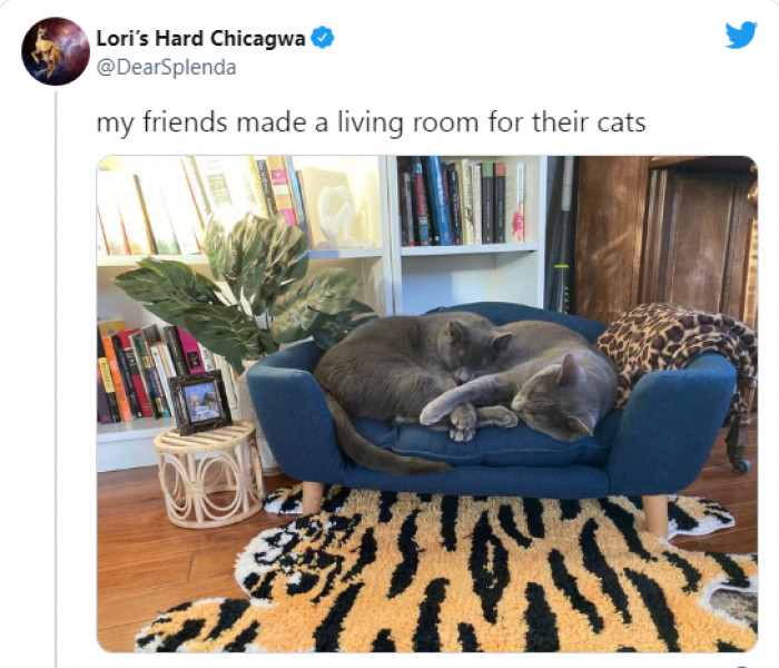 13. This is too purrfect, my gosh...