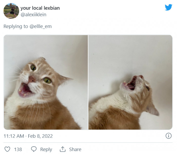 9. Wailing and screaming, and you can't do anything about it because I rule this house!