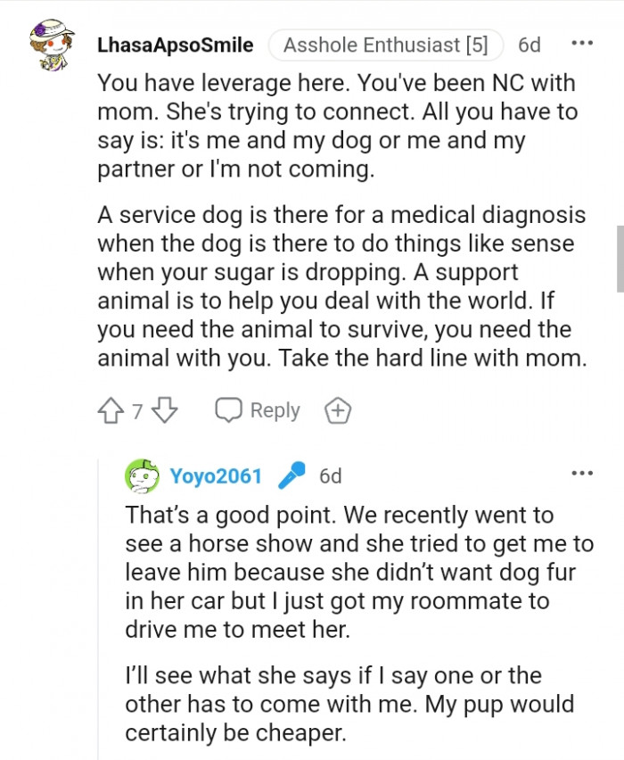 A support animal is to help you deal with the world