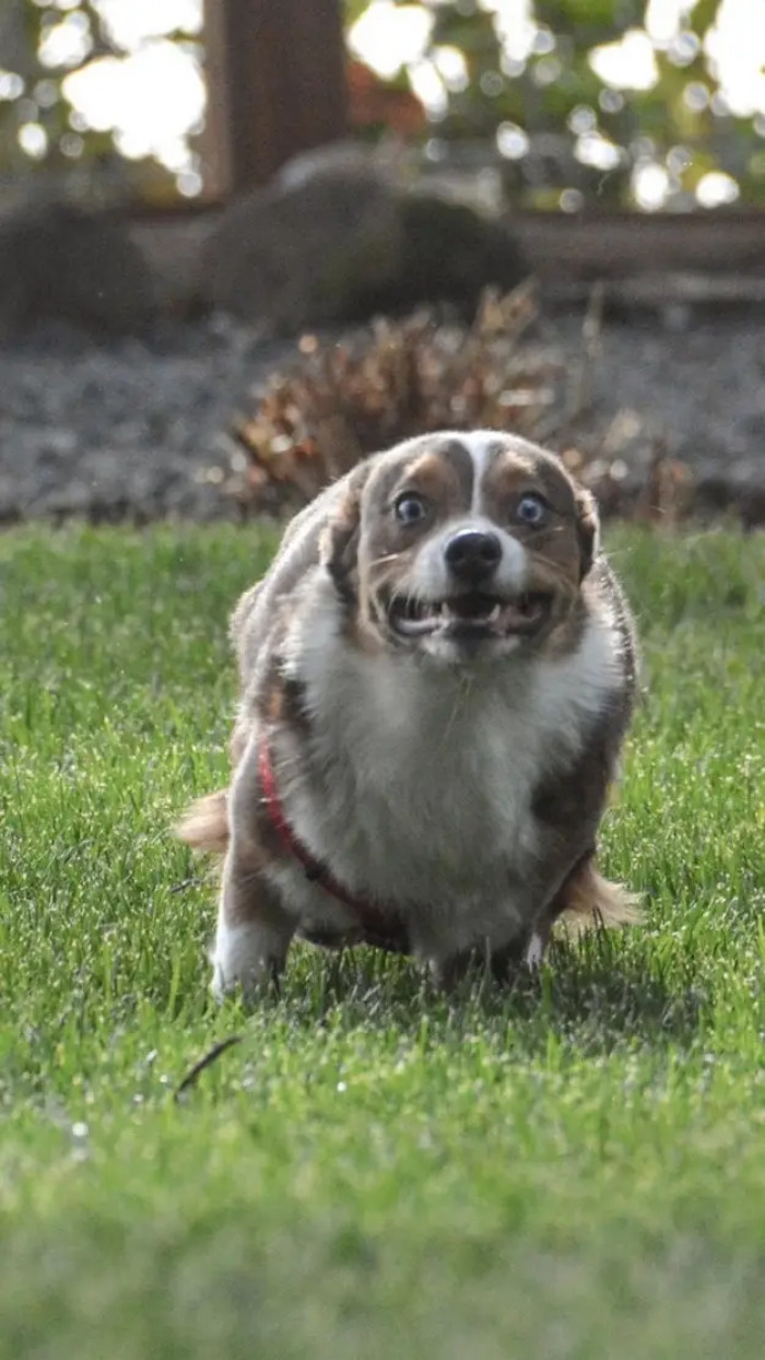 1. Imagine what you'd look like when you're running like the wind