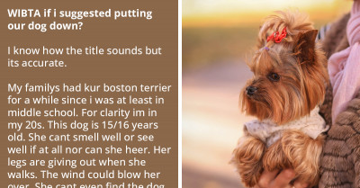 Redditor Asks If They're An A**Hole For Suggesting To Put The Family Dog To Sleep