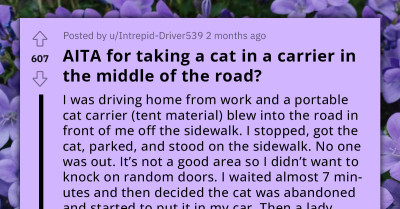 Woman Slams Redditor For Attempting To Take Home Her Cat After Rescuing It On The Road