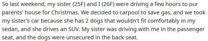 OP (26F) and her sister (25F) carpooled together, with OP's sister driving an SUV and the two dogs unsecured in the back seat.