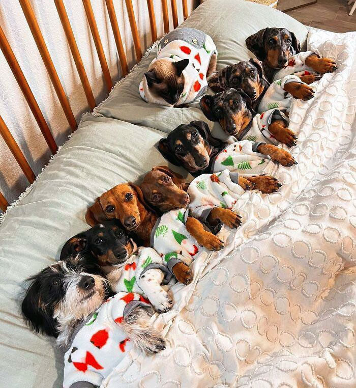 "Sleepover At The Weens Residence. Who Is Coming?"