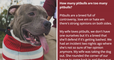 Redditors Gather To Discuss The Pitbull Controversy After 5 Of Them Nearly Mauled A Woman And Her Dog