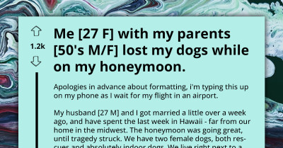 Dogs Go Missing As Parents Neglect Their Daughter's Strict Leash Instructions, It Ruins Her Honeymoon