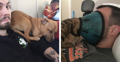 Pets Who Ignore Personal Space Completely - 50 Adorable Photos