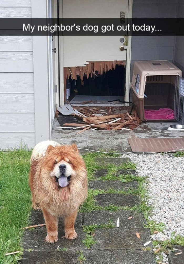 14. “Yipee! I'm outside. Where's all the fun at?”