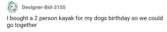 7. Owner purchased a 2-person kayak for their dog's birthday