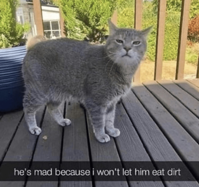 9. What do you know, human?