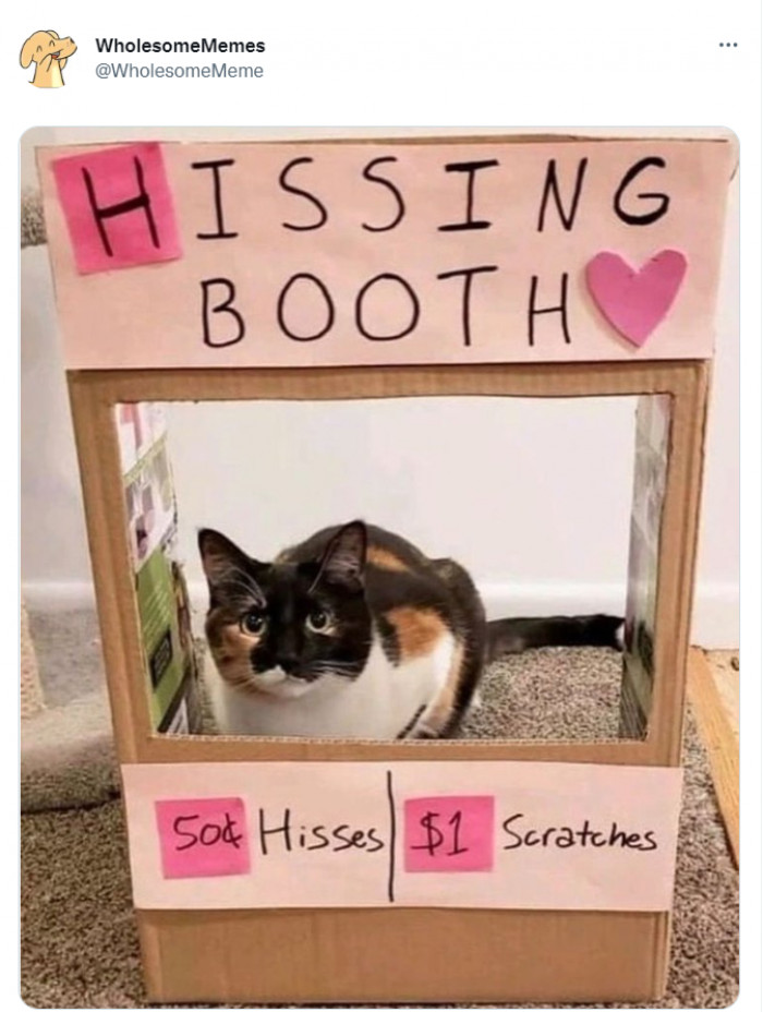 40. Worth every cent