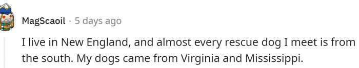 Dogs from Virginia and Mississippi end up in New England