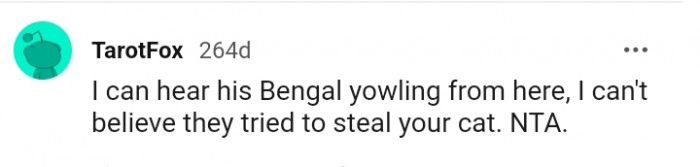 This redditor can't believe they tried to steal the cat