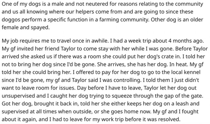 Taylor Brought Her Dog in Heat to a Farm with an Un-neutered Working Dog, Especially After Being Specifically Told Not To
