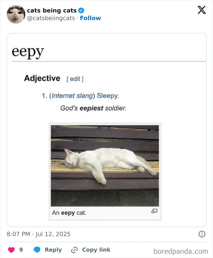 3. Serving naps on the front lines since day one.