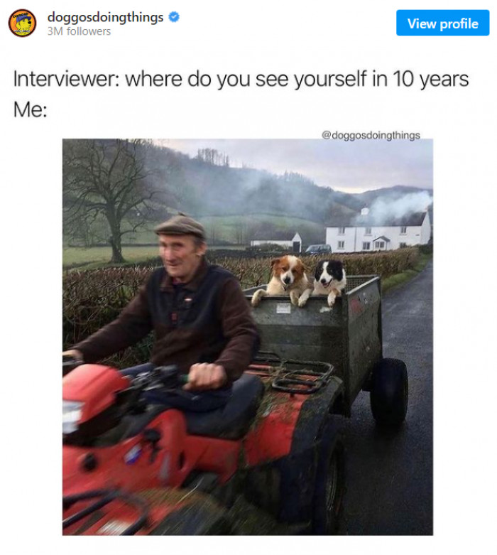 11. The future of pet lovers.