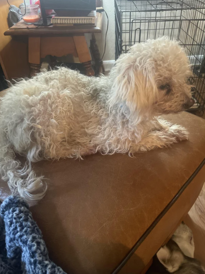 9. "Before and after for my little shae baby"