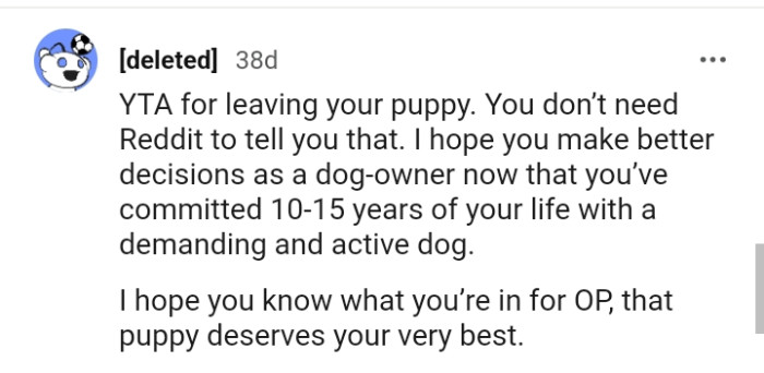 This Redditor Is Hoping the OP Makes Better Decisions as a Dog Owner