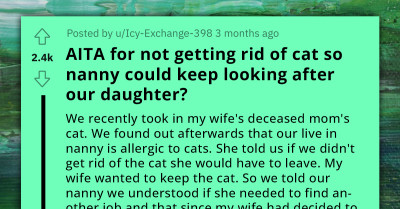 Redditor Gets Chewed Out By Stranger For Choosing Their Late MIL's Cat Over Daughter’s Nanny