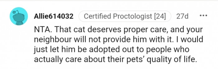 That cat deserves proper care