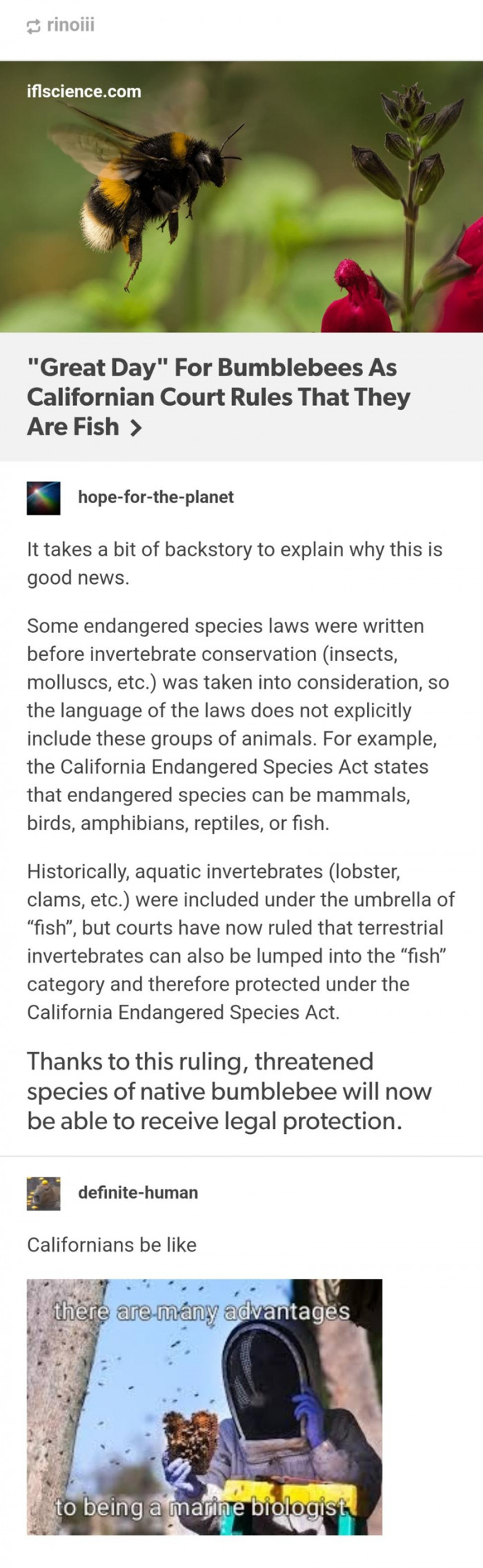 8. Congrats, you are officially a fish now.