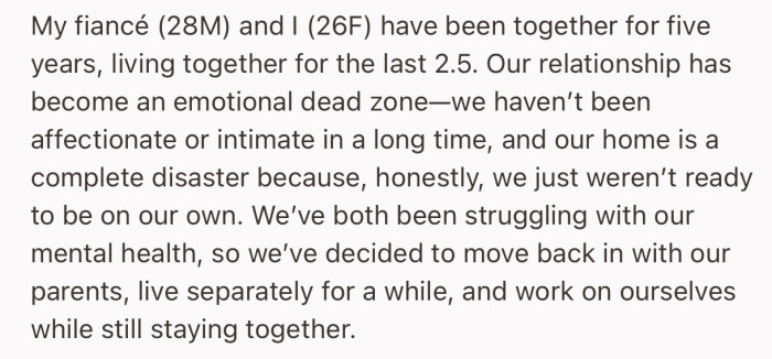OP and her fiancé have been struggling with their mental health since they moved in together. So, recently, they both decided to move back in with each of their parents
