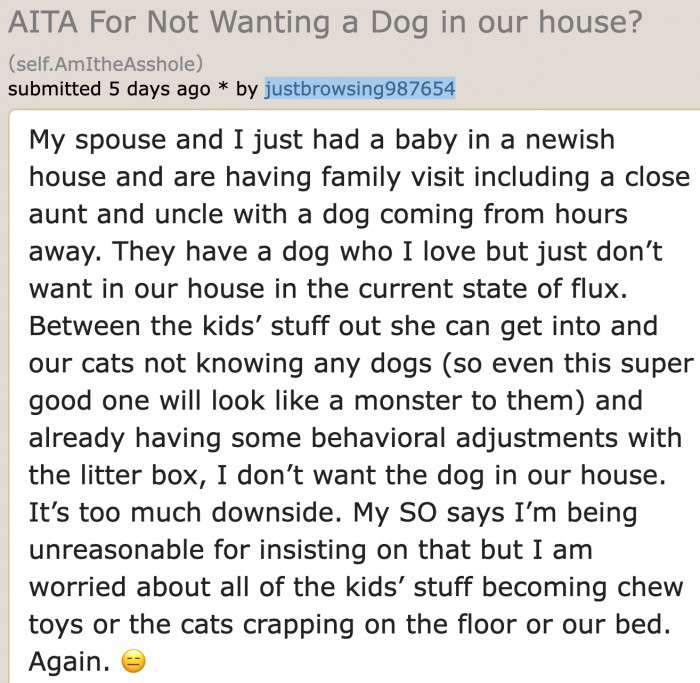 With a newborn and cats in a new home, having relatives with a dog coming over would just be extra work.