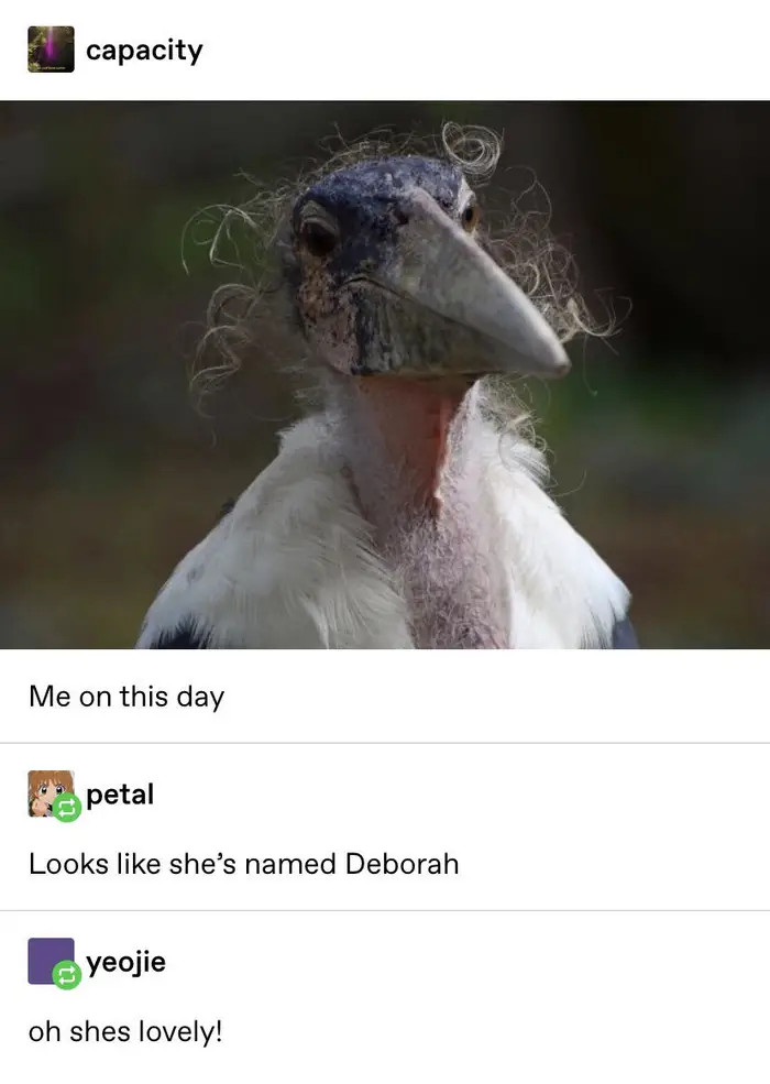 3. Oh well... Looks like she's named Deborah
